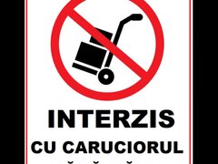 Placuta carucior fara maini
